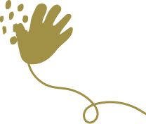 Shape Image