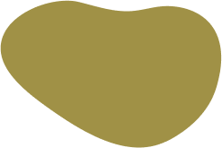 Shape Image